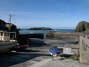 Mullion Cove