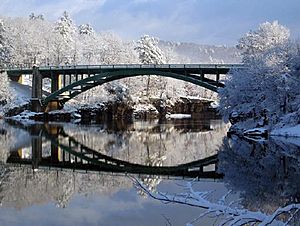 Narrowsburg, NY- NY-PA bridge..jpg