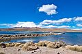 Parinacota over Chungará (26770009677)