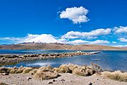 Parinacota over Chungará (26770009677)