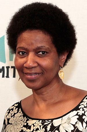 Phumzile Mlambo-Ngcuka 2014.jpg