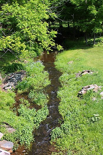 Pikes Creek looking upstream.JPG