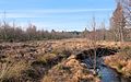 Polleur stream, High Fens – Eifel Nature Park (DSCF6647)