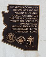Prescott-Historic Centennial Tree-1912-marker