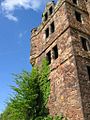 Redhouse Castle from west