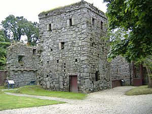 Rushen Abbey - Ballasalla - geograph.org.uk - 55692