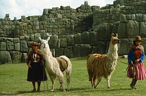 Sacsayhuaman, Cusco, Peru