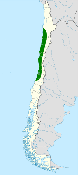 Scelorchilus albicollis map.svg