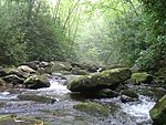 South Fork of Citico Creek in the Citico Creek Wilderness.