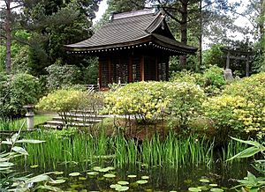 Tatton Japanese Garden