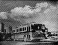 Trólebus Belo Horizonte (1953).png