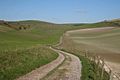 Track at The Bostle - geograph.org.uk - 2126615