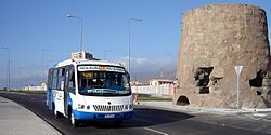 TransAntofagasta