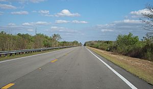 US 41 Big Cypress