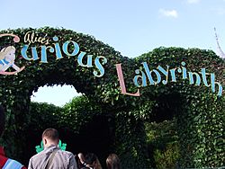 Alice’s Curious Labyrinth.jpg