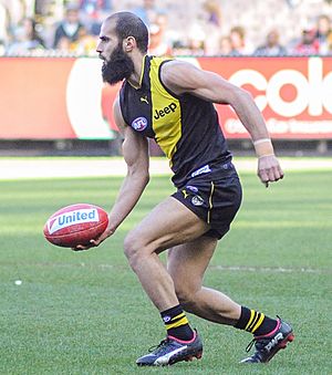 Bachar Houli handballing (cropped)