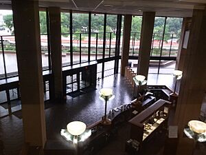 Biblioteca Dallas Interior