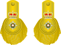 British-Army-Col(1810-1855)