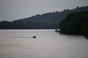 Brunei River (19042022)