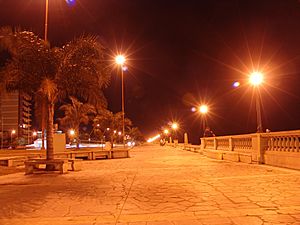 Costanera nocturna