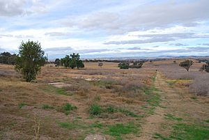 Cowra POW Camp Ruins 001.JPG