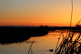 Delevan national wildlife refuge sunrise.jpg