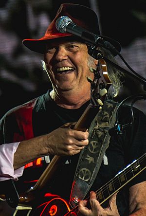 DesertTrip2016-140 (29685063324) (cropped).jpg