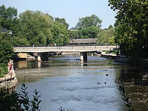 DuPage River Naperville