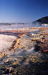 Excelsior geyser