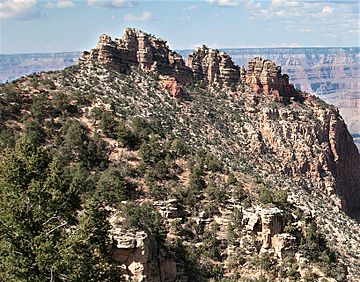 Grand Canyon National Park - Kaibab Formation - Sinking Ship.jpg