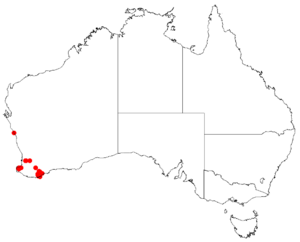 Hakea oldfieldii DistMap.png