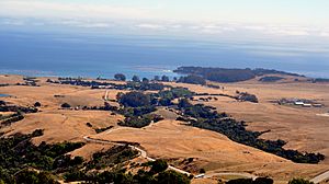 Hearst Ranch by D Ramey Logan