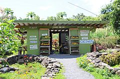 KipahuluFruitStand