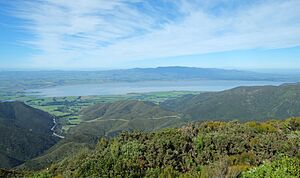 Lake Wairarapa from Remutaka Trig.jpg