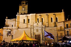 Medina del Campo-Colegiata de San Antolin 01