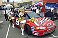 NFL Cheerleaders NASCAR