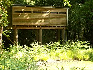 Nagshead Campbell Hide