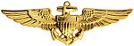 Naval Aviator Badge.jpg