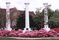 Nsu columns