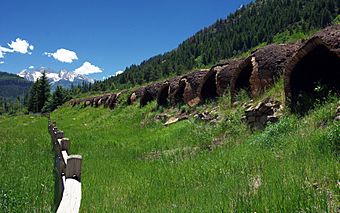 Round stone structures with large openings on the left built into a grassy hillside behind a wooden fence. There is a snow-capped mountain in the rear.