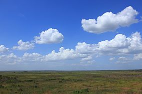 Paynes Prairie observation tower view.jpg