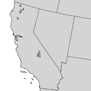 Pinus balfouriana range map 1.png