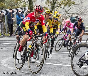 Primoz Roglic. Vuelta ciclista a Eapaña 2020. Alto de la Garganta de Baños de Montemayor. (50576911892)