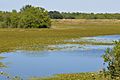 Refuge Lake, Attwater Prairie Chicken National Wildlife Refuge