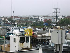 Saint-Pierre harbor