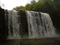 Salmon River Falls Spring 2009