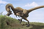 Saurornitholestes digging Burrows wahweap.jpg