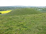 Scratchbury Camp tumulus 4.JPG