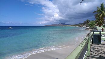 Shoreline at Esperanza, Vieques