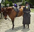 Sidesaddle habit devon pa